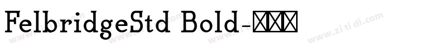 FelbridgeStd Bold字体转换